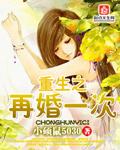 重生之再婚一次封面