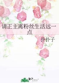 请正主离粉丝生活远一点封面