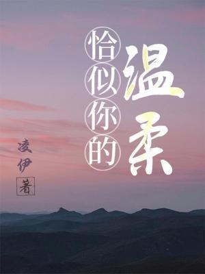 恰似你的温柔封面