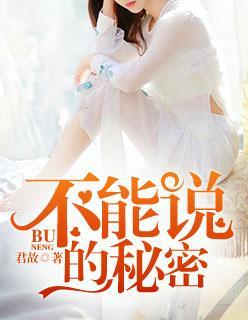 不能说的秘密封面