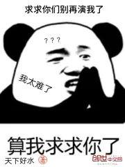 求求你们别再演我了封面