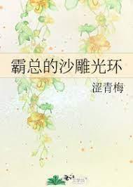 霸总的沙雕光环封面