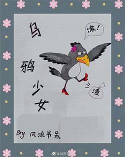 乌鸦少女封面