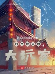 四合院里的大玩家封面
