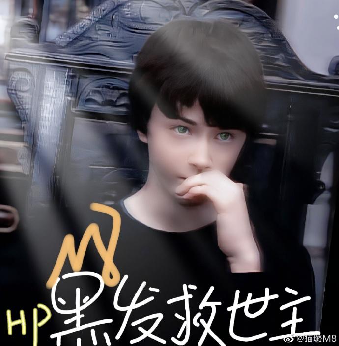 [HP]黑发救世主封面