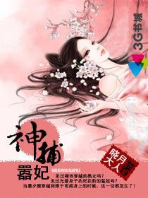 神捕嚣妃封面