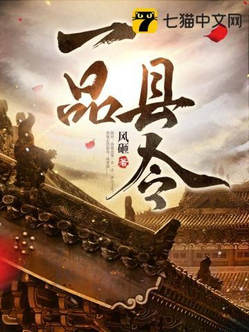 一品县令封面