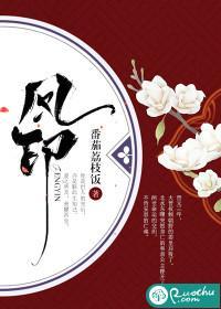 凤印封面