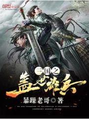 三国之盖世雄兵封面