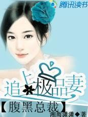 腹黑总裁：追上极品妻封面
