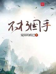 不朽国手封面