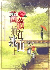 蔷薇插在冰山上封面