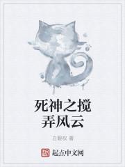死神之搅弄风云封面