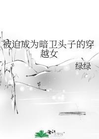 被迫成为暗卫头子的穿越女封面