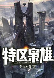 特区枭雄封面