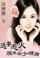 逃妻惹火：腹黑狼少缠身封面