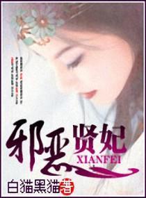 邪恶贤妃封面