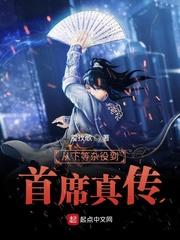 从下等杂役到首席真传封面