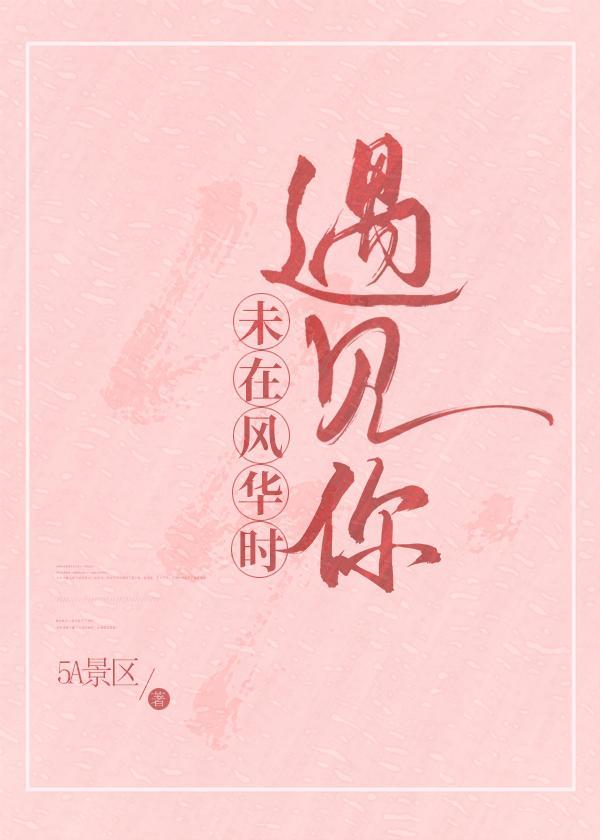 未在风华时遇见你封面