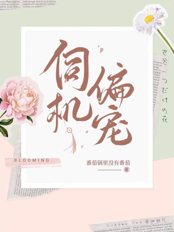 伺机偏宠封面