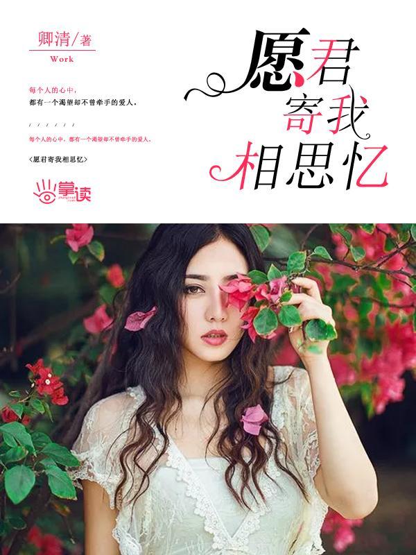 愿君寄我相思忆封面