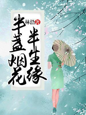半盏烟花半生缘封面