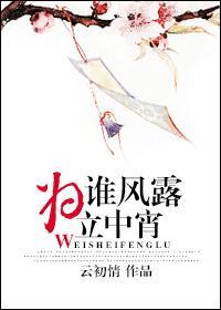 为谁风露立中宵封面