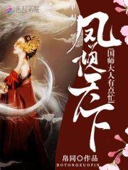 凤倾天下：国师大人有点忙封面