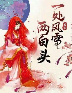 一处风雪两白头封面