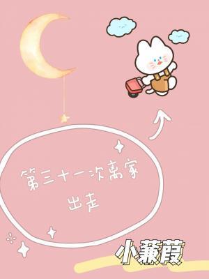 第31次离家出走封面