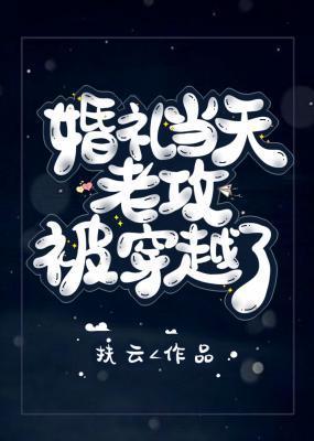婚礼当天老攻被穿越了封面