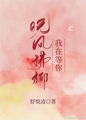 晚风拂柳我在等你封面