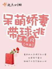 呆萌娇妻带球逃封面