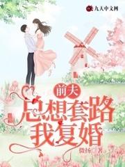 前夫总想套路我复婚封面