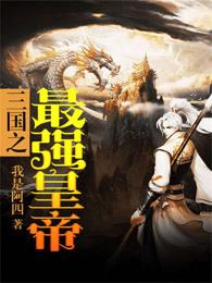 我在三国当皇帝封面