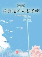 不是，我真是正人君子啊封面