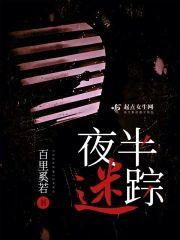 夜半迷踪封面