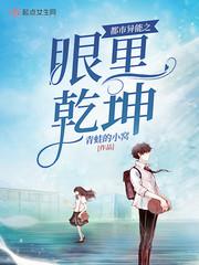 都市异能之眼里乾坤封面