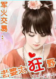 军火交易：老婆太狂野封面