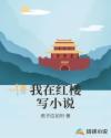 我在红楼写封面