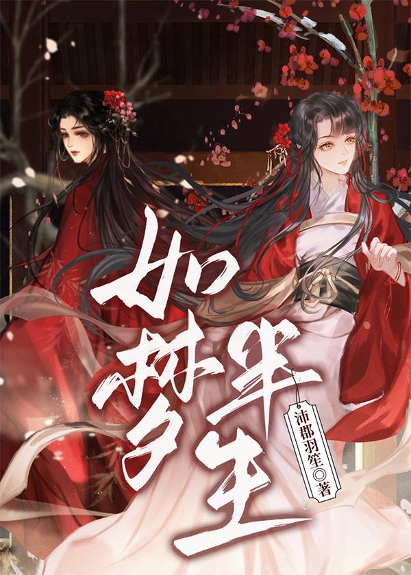 如梦半生封面