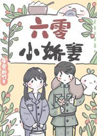 六零小娇妻封面