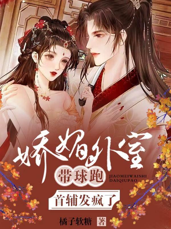 娇媚外室带球跑，首辅发疯了封面