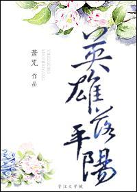 英雄落平阳封面