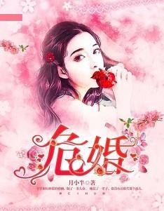 危婚封面