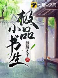 极品小书生张青枫麒麟才子封面