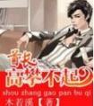 首长高攀不起封面