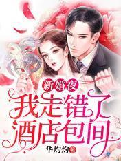 新婚夜，我走错了酒店包间封面
