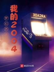 梦幻西游之我的2004封面