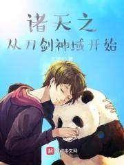 诸天之从刀剑神域开始封面